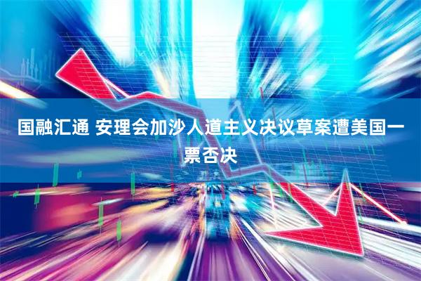 国融汇通 安理会加沙人道主义决议草案遭美国一票否决