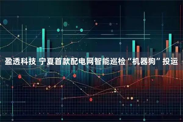 盈透科技 宁夏首款配电网智能巡检“机器狗”投运