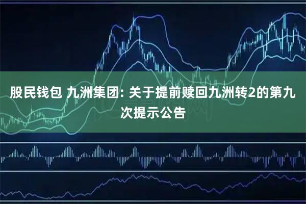 股民钱包 九洲集团: 关于提前赎回九洲转2的第九次提示公告