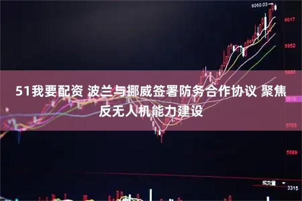 51我要配资 波兰与挪威签署防务合作协议 聚焦反无人机能力建设
