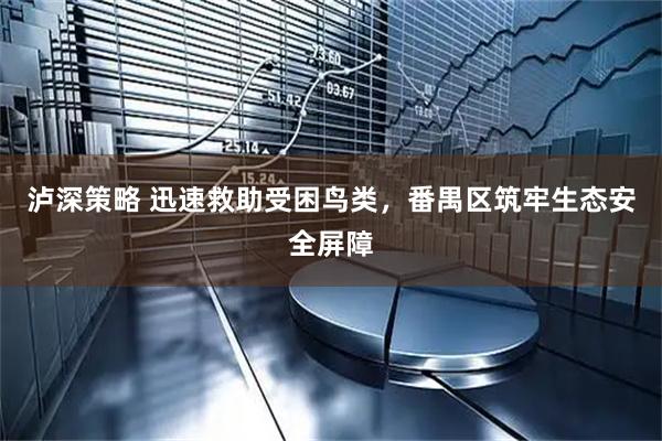 泸深策略 迅速救助受困鸟类，番禺区筑牢生态安全屏障