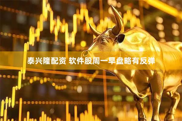 泰兴隆配资 软件股周一早盘略有反弹