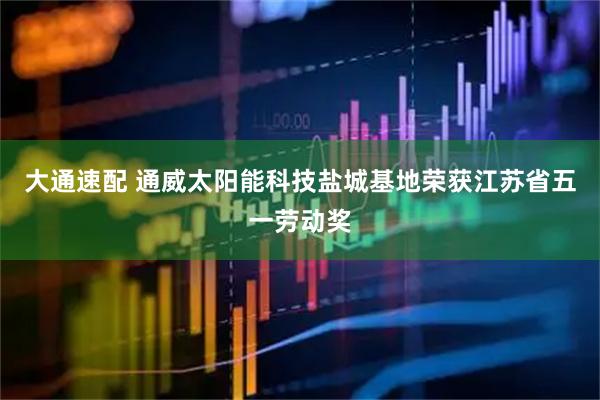 大通速配 通威太阳能科技盐城基地荣获江苏省五一劳动奖