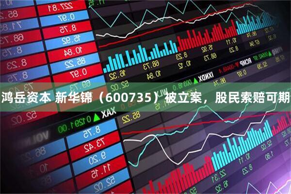 鸿岳资本 新华锦（600735）被立案，股民索赔可期